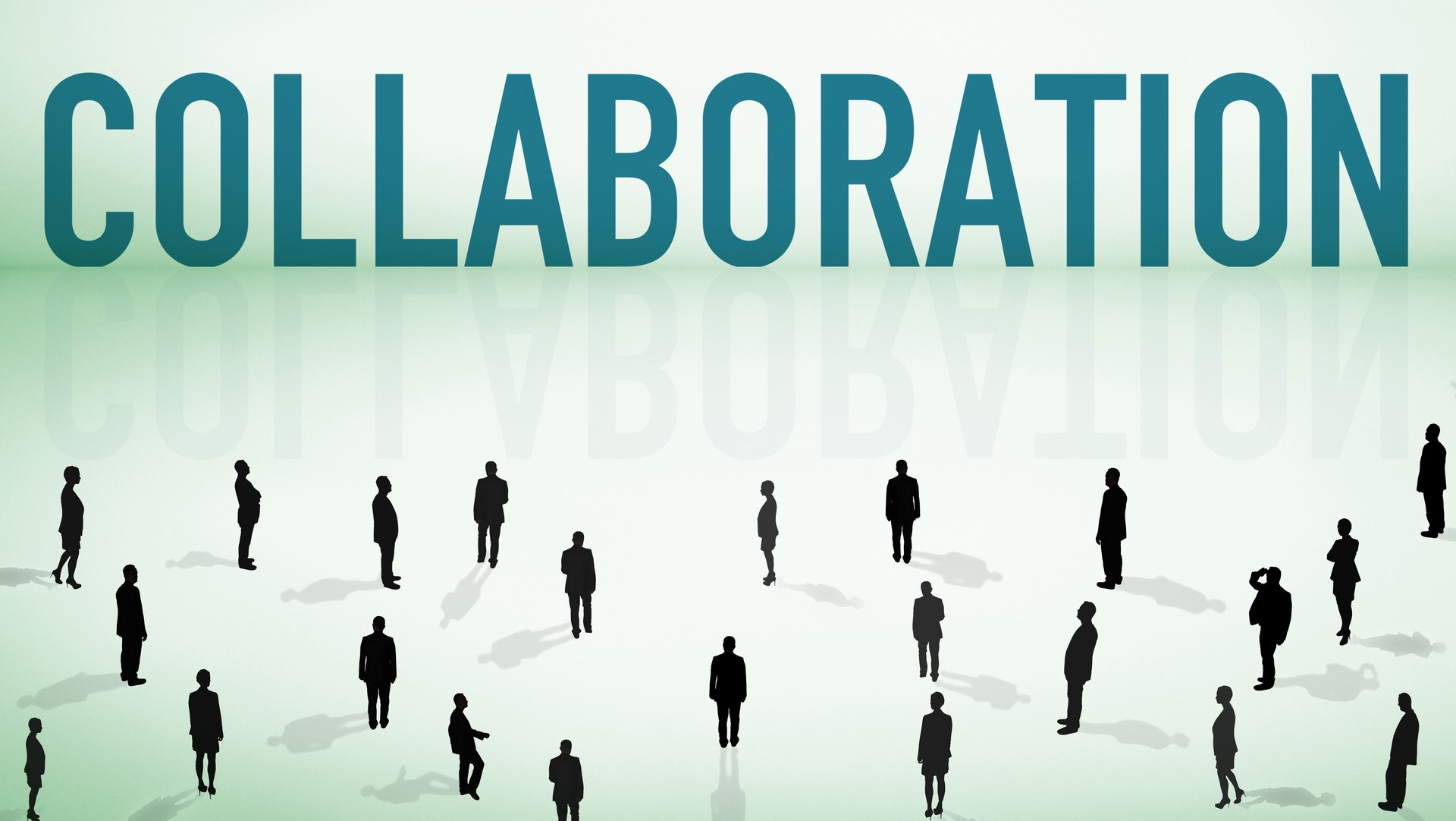 Collaboration